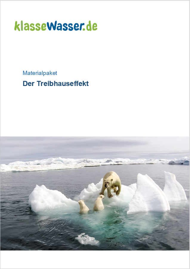 Ein Eisbär und zwei Eisbärjunge stehen auf einer Eisscholle im Wasser