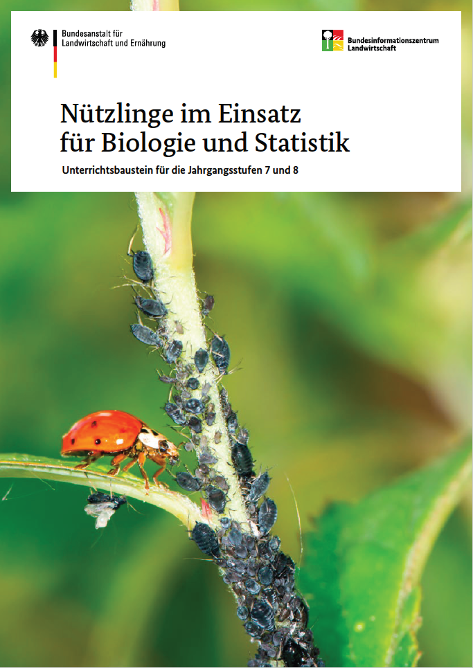 Ein Marienkäfer sitzt auf einem Pflanzenstängel, der von Blattläusen befallen ist