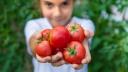 Mädchen hält frische Tomaten in die Kamera